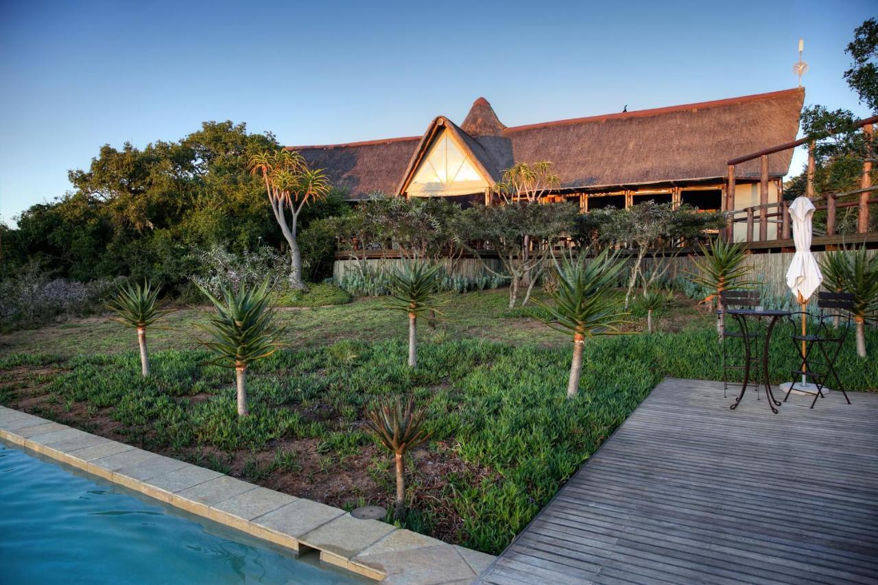 Bush Lodge - Amakhala Game Reserve Luaran gambar