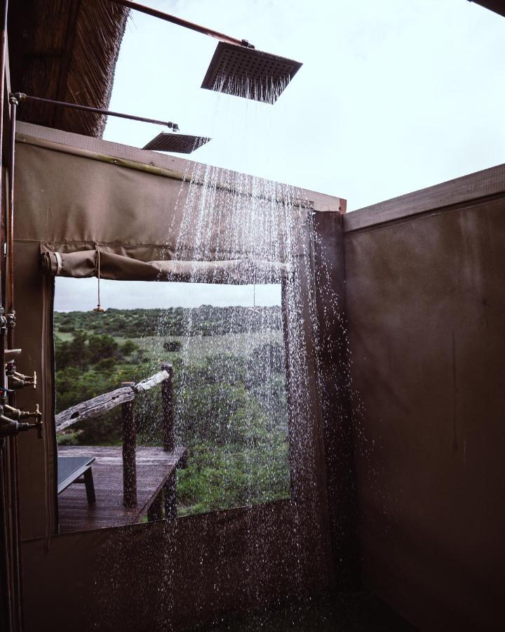 Bush Lodge - Amakhala Game Reserve Luaran gambar