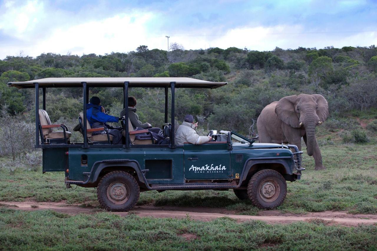 Bush Lodge - Amakhala Game Reserve Luaran gambar