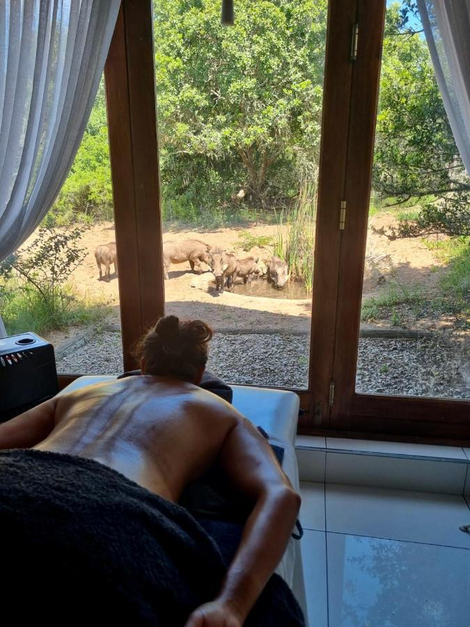 Bush Lodge - Amakhala Game Reserve Luaran gambar