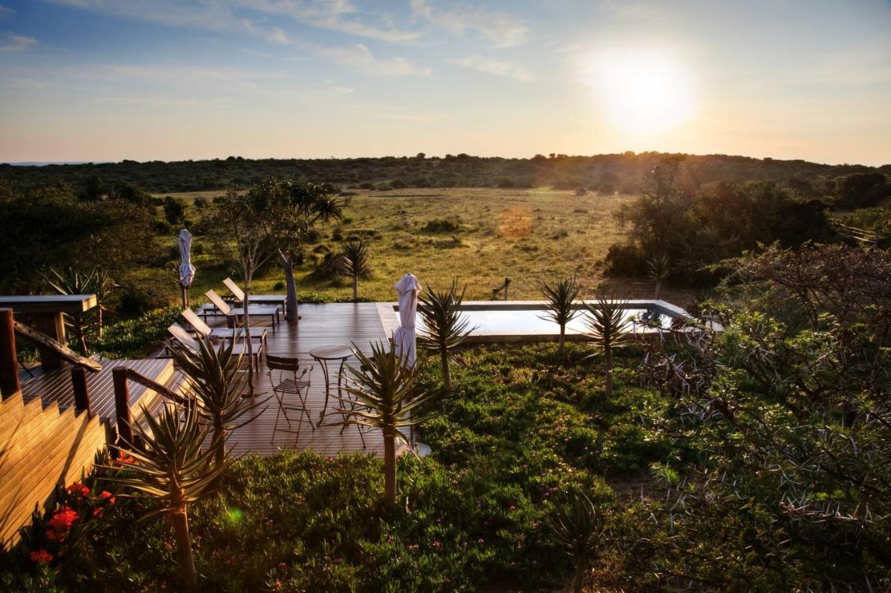 Bush Lodge - Amakhala Game Reserve Luaran gambar