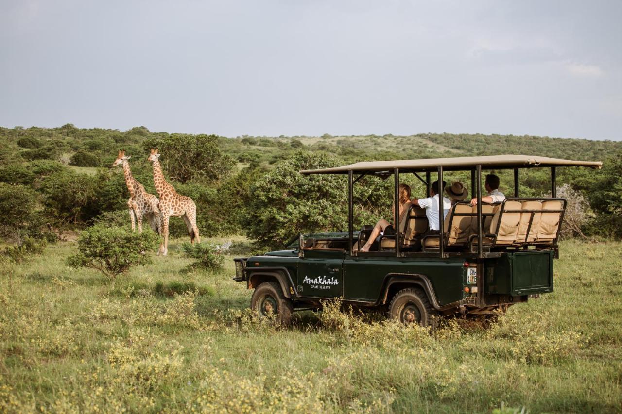 Bush Lodge - Amakhala Game Reserve Luaran gambar