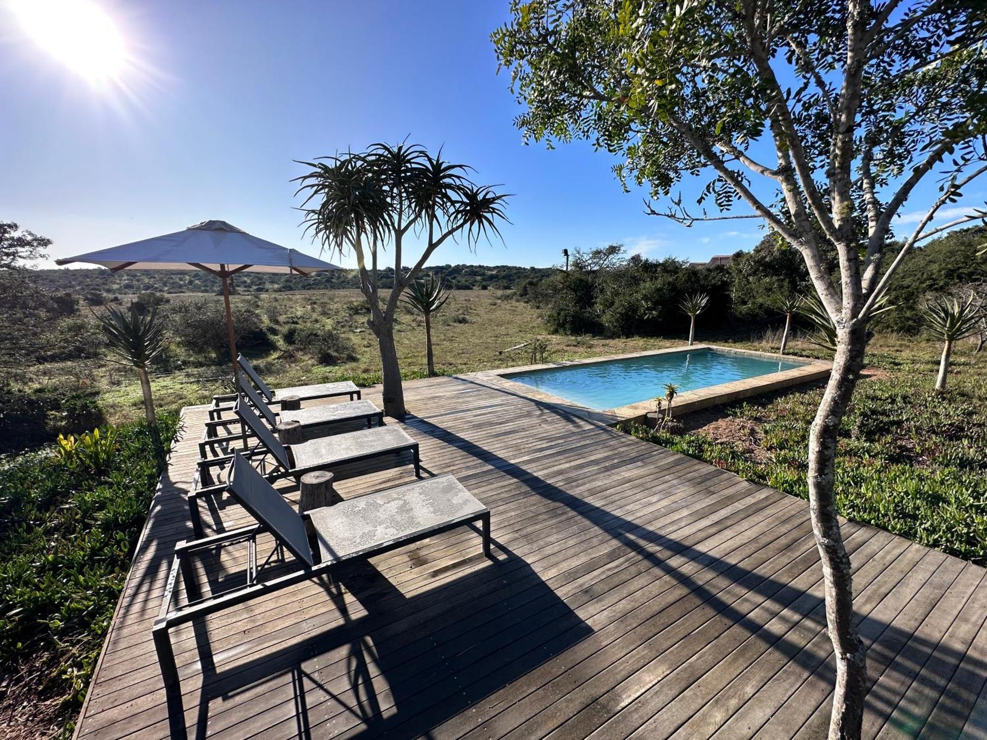 Bush Lodge - Amakhala Game Reserve Luaran gambar