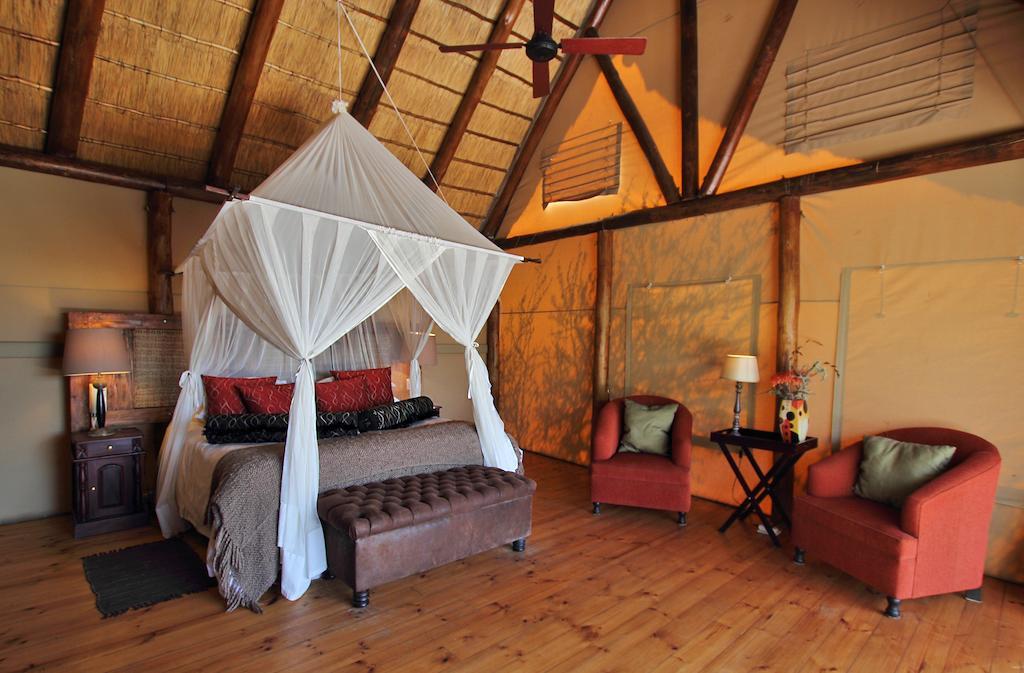 Bush Lodge - Amakhala Game Reserve Luaran gambar