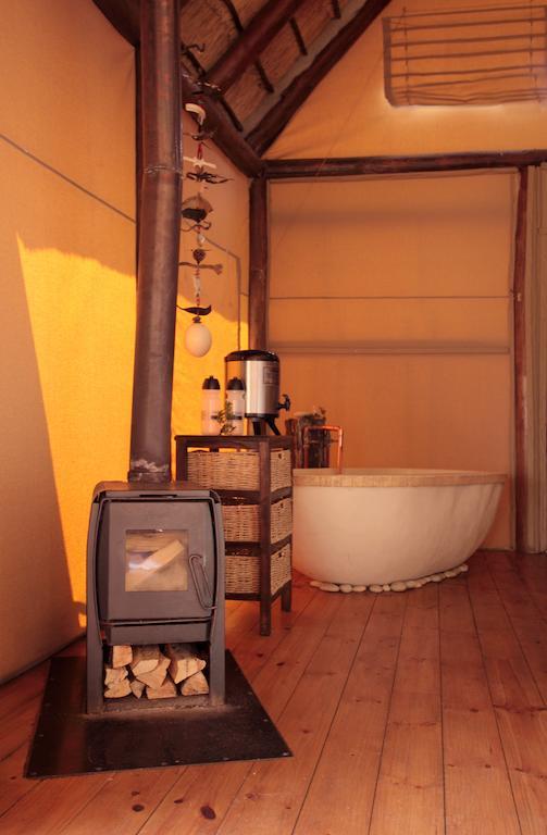 Bush Lodge - Amakhala Game Reserve Bilik gambar