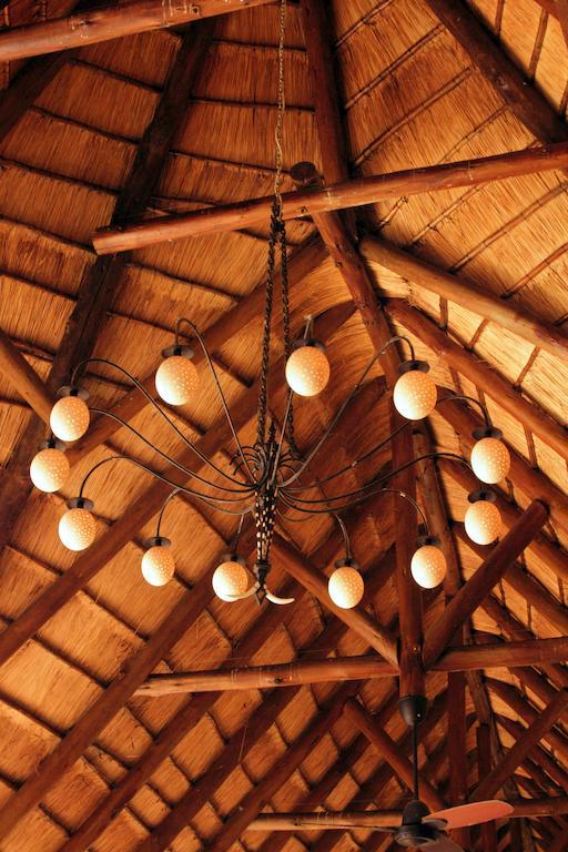 Bush Lodge - Amakhala Game Reserve Luaran gambar
