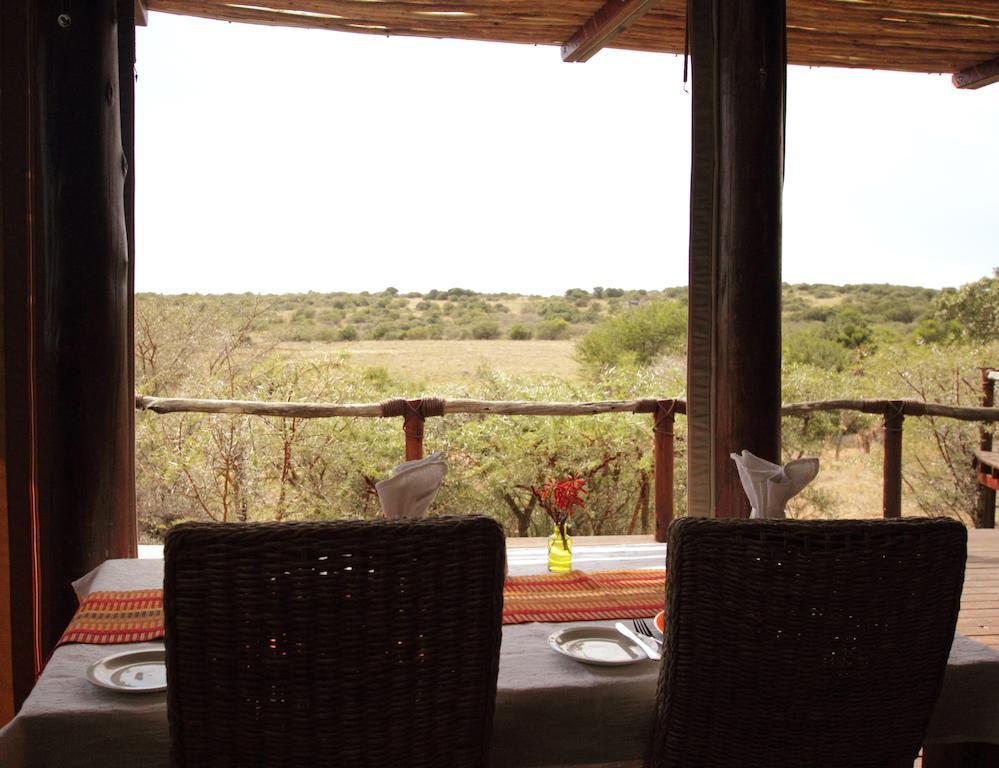 Bush Lodge - Amakhala Game Reserve Luaran gambar