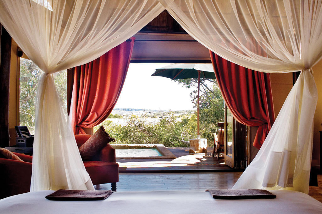 Bush Lodge - Amakhala Game Reserve Bilik gambar