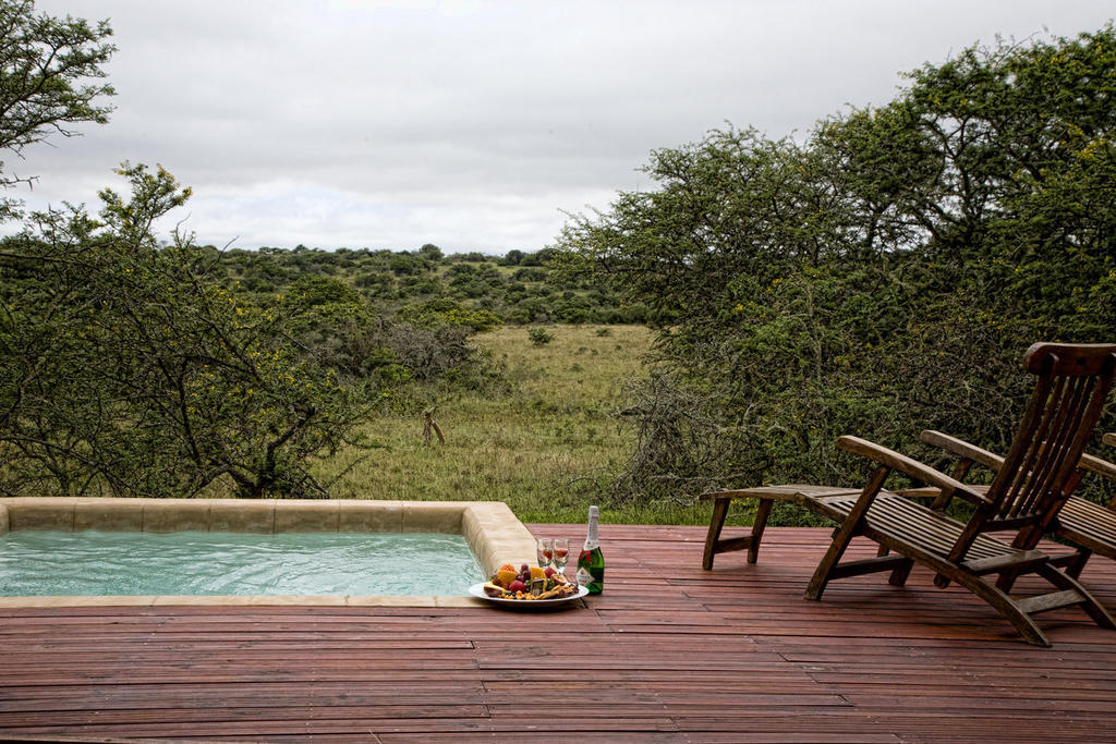 Bush Lodge - Amakhala Game Reserve Bilik gambar