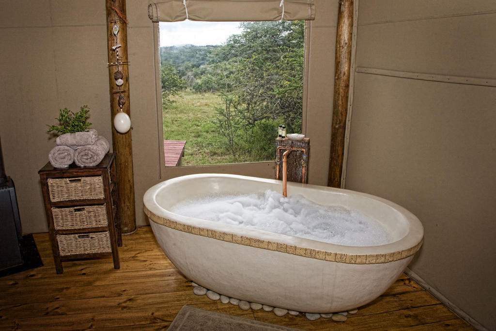 Bush Lodge - Amakhala Game Reserve Bilik gambar